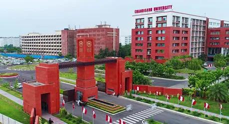 Chandigarh University Online