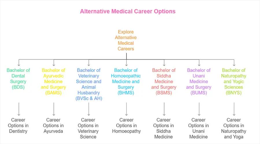 top 7 career options that you can explore other than MBBS