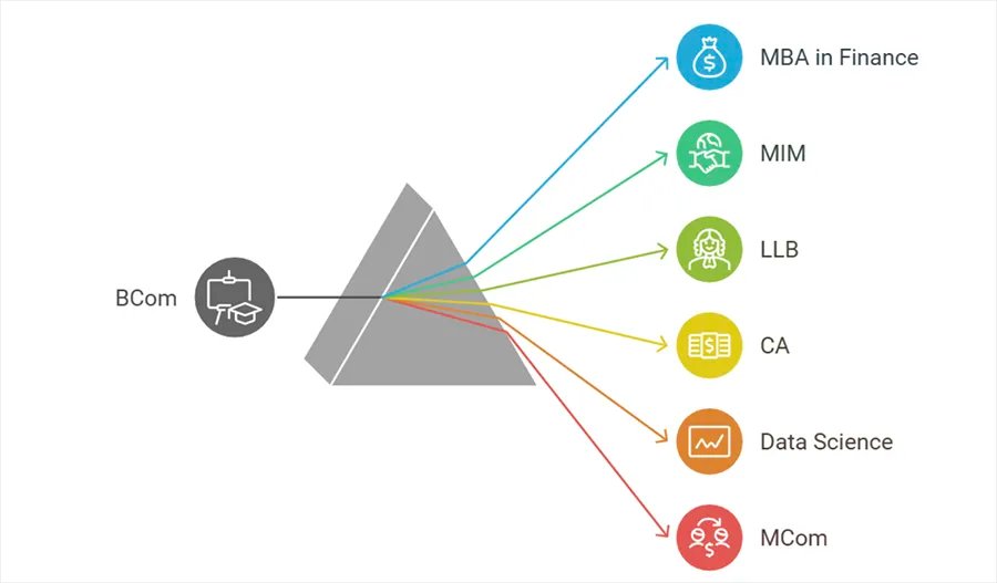 Top 10 High-Paying Courses After BCom: Unlock Your Career Potential