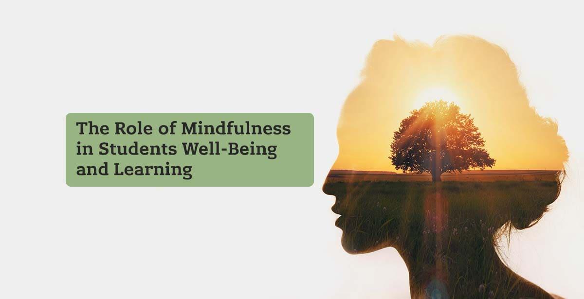 The Role of Mindfulness Practices in Supporting Student Well-being and Learning