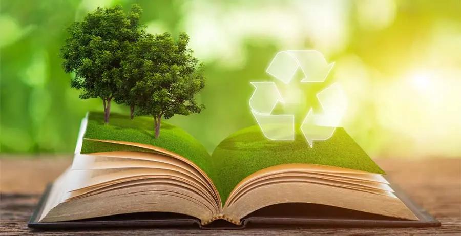 The Role of Education in Promoting Sustainable & Eco-Friendly Living