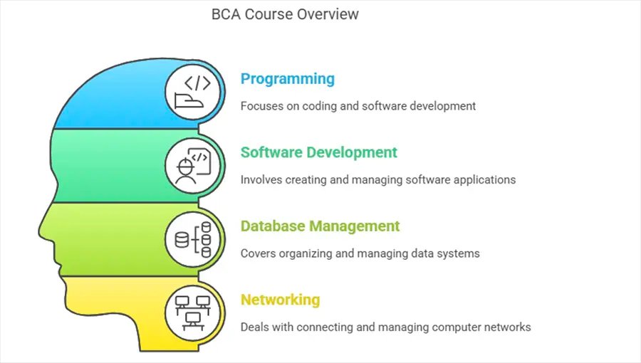 BCA Course Overview