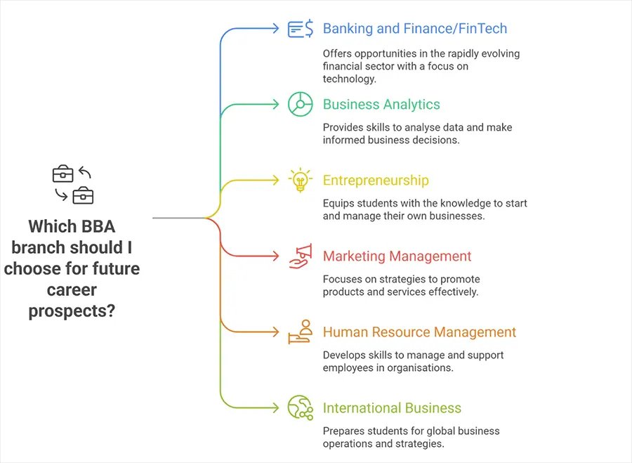Exploring the Best BBA Branches for the Future