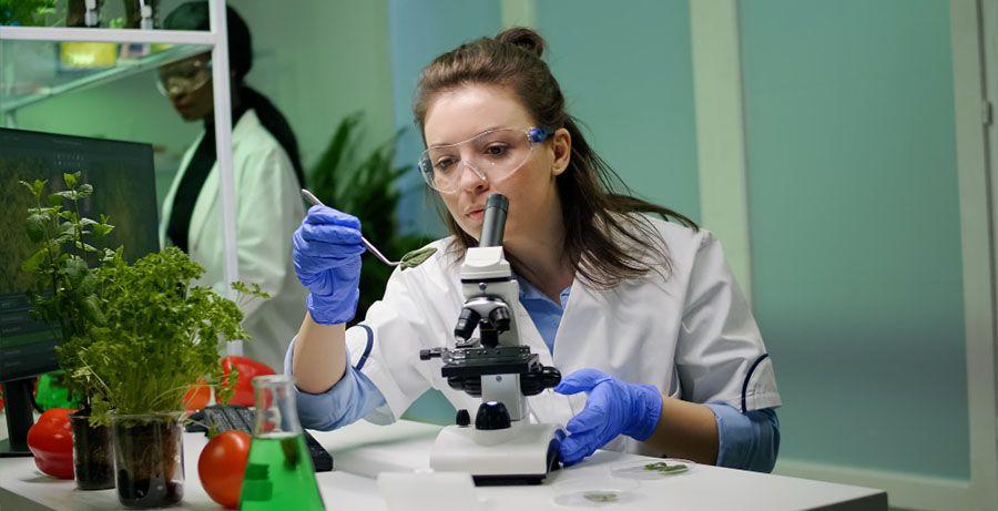 B.Sc. in Biotechnology vs B.Sc. in Microbiology: Career Path and Industry Demand