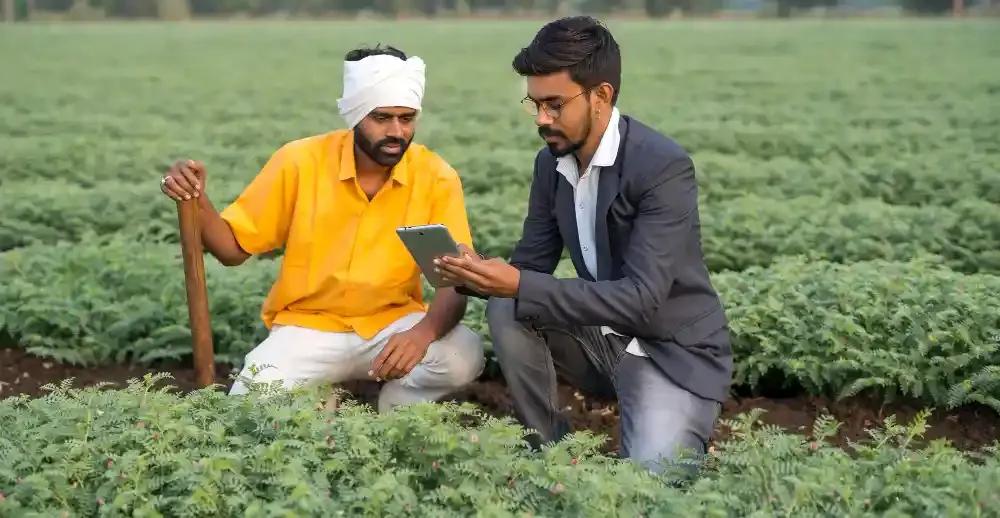 Online MBA in Agri-business: Complete 2025 Guide